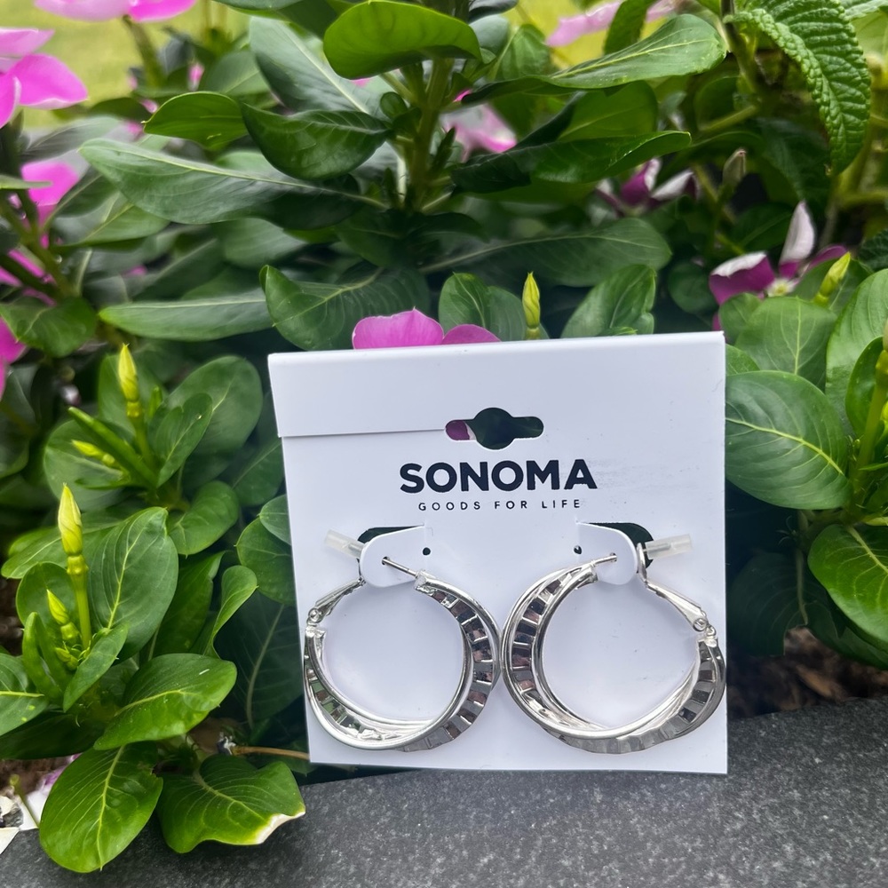NWT Sonoma Goods For Life Earrings.